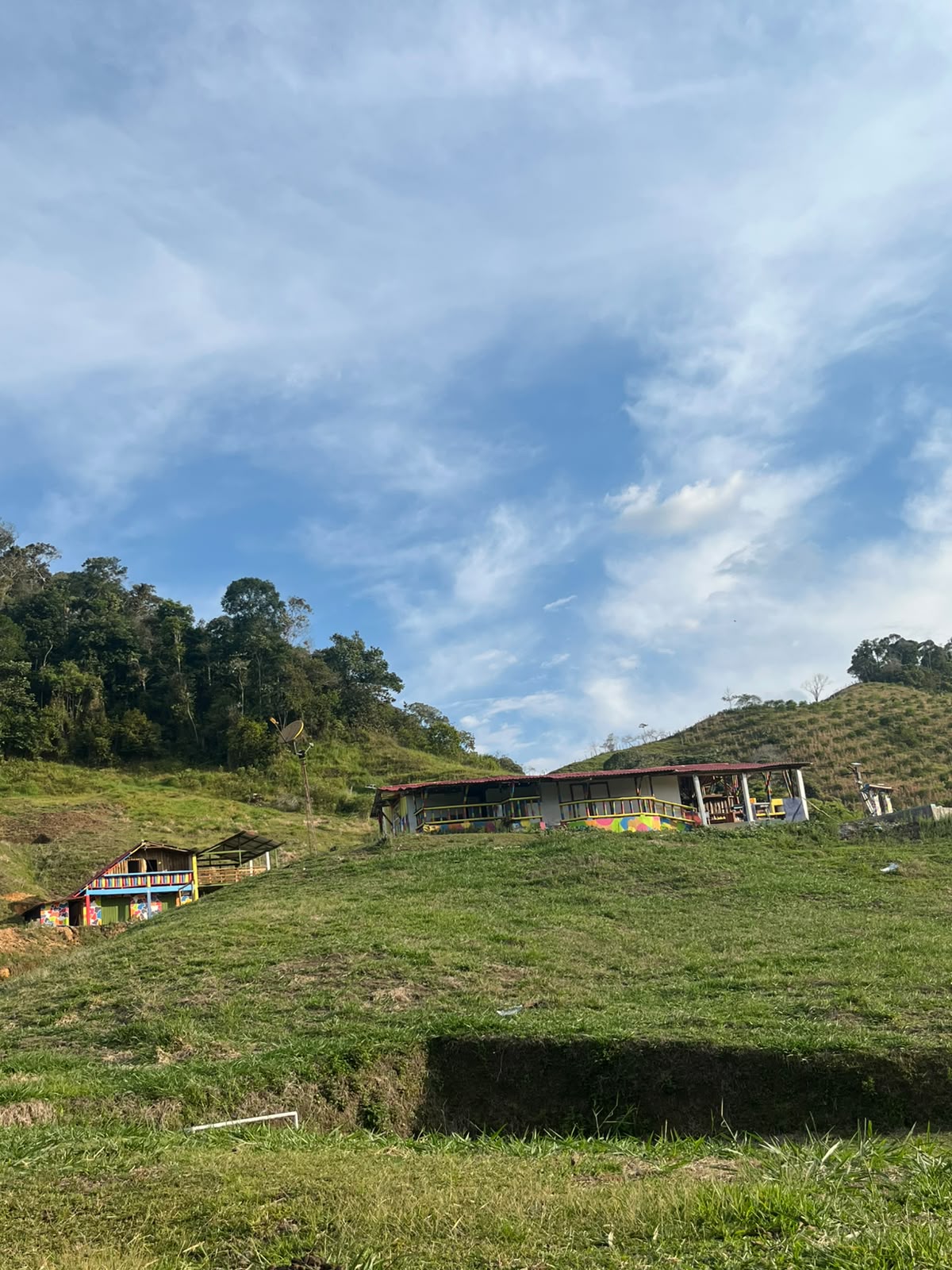 Panorámica de Nativos Biohabitat en la montaña